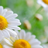 Лариса Беляева | Ярославль