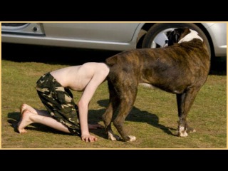 Funny videos 2016 : Best magic show in the world - Best magic trick ever #2