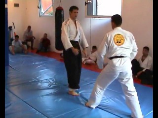 Real aikido Leskovac - Aleksić Nenad - Stalone