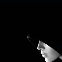 Black-Tulip Black-Tulip