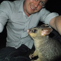 Владимир Зоряный