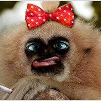 Наталья Беляева