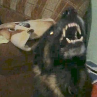 Константин Шаров | 