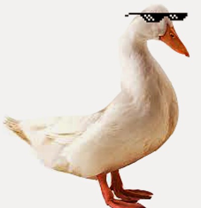 9UAIIYu51wQ.jpg