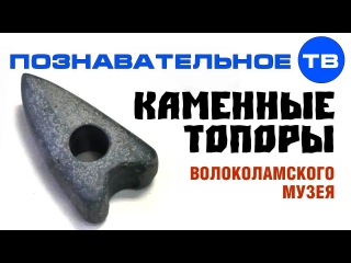 Каменные топоры Волоколамского музея (Познавательное ТВ, Артём Войтенков)