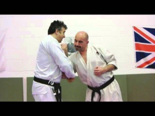 awase uke Bunkai Strategies Newsletter 2013 week 40 Heian Pinan Sandan oyo jutsu