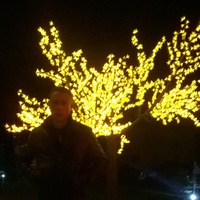 Дмитрий Береснев | 