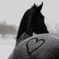 Ольга Дорошниченко