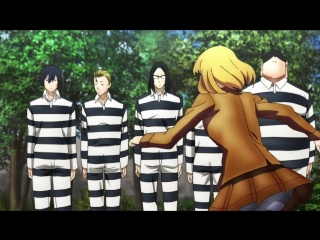 ams_webm