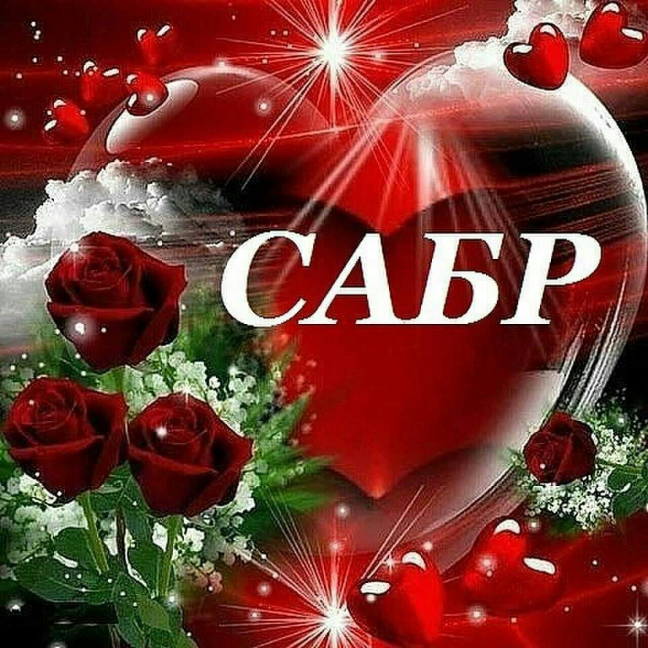 Картинки ошикона сабр