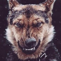 Никита Боженко