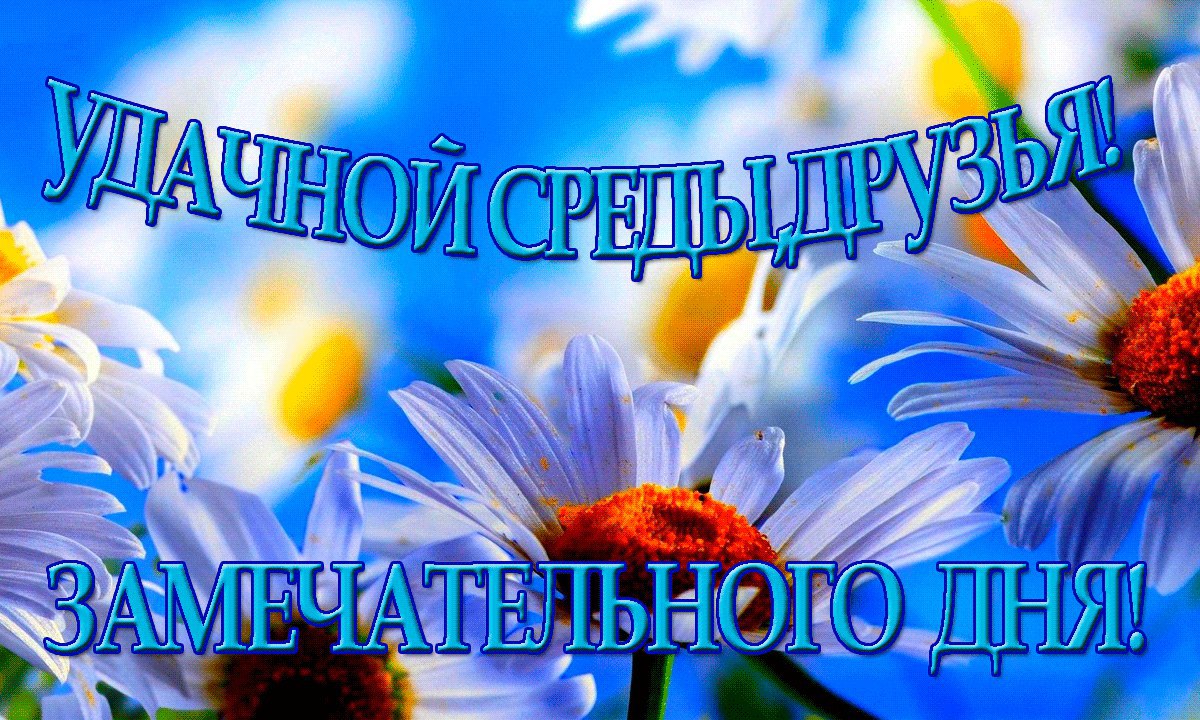 https://pp.userapi.com/c630130/v630130935/4d661/JThihn5rR0I.jpg