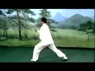 5 Animals and 8 Methods Wu Xing Ba Fa Kung fu B Cin Cinfen