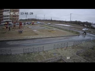 Нападение бродячих собак на человека в Хабаровске