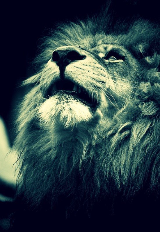 Дмитрий Мороз