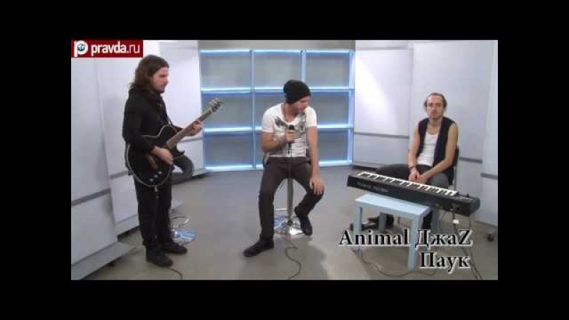 ФАНО_ТЕКА Animal ДжаZ - Паук
