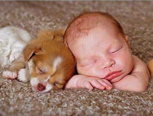https://pp.userapi.com/c630220/v630220047/2e10c/8xpeTS9Nz2w.jpg