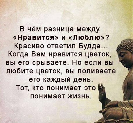 https://pp.userapi.com/c630220/v630220991/31490/ngBWrwIEm7c.jpg