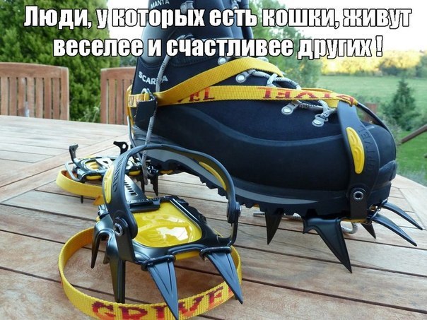 O4PjdAXInGM.jpg