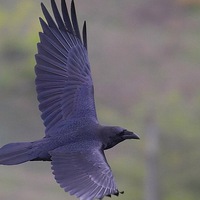 Леонид Владимирович | 