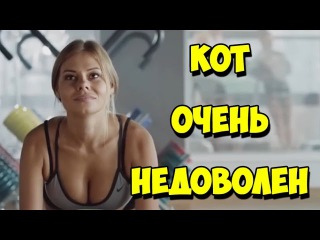 Лучшие Приколы Недели Сентябрь 2016 #32 Кот очень недоволен