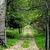 Фото пользователя Лилия