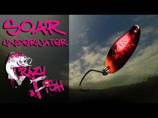 Приманки под водой. Crazy Fish. Soar. Underwater.