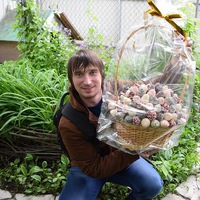 Олег Цыганов