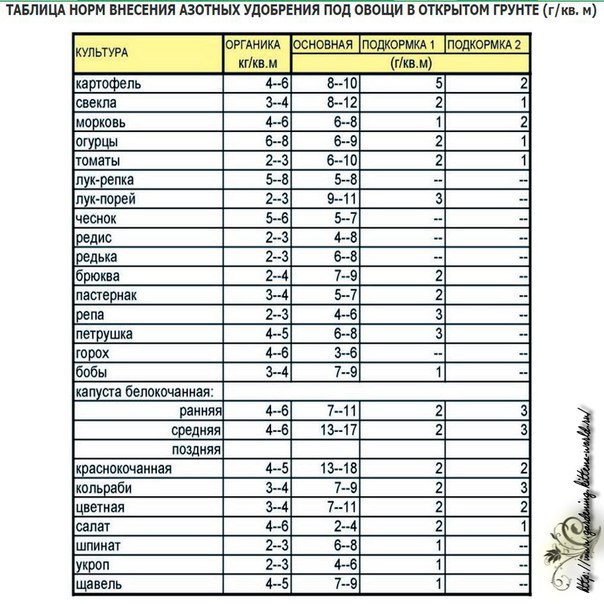RU2356205C1 - Method for cultivation of table beet varieties, mainly in drop irr