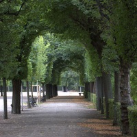 Мария Шишова | 