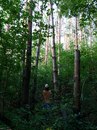 Настасья Чумак Настасья Чумак