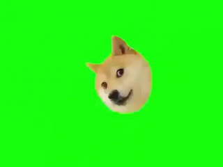 MLG Green Screen Doge dog Собака Футаж 1