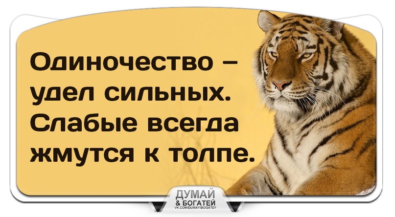 Высказывания о жестокости. Обижаться удел слабых цитаты. Не хочу жить цитаты. У животных есть душа. Мудрые изречения.