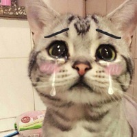 Даша Обухова | 