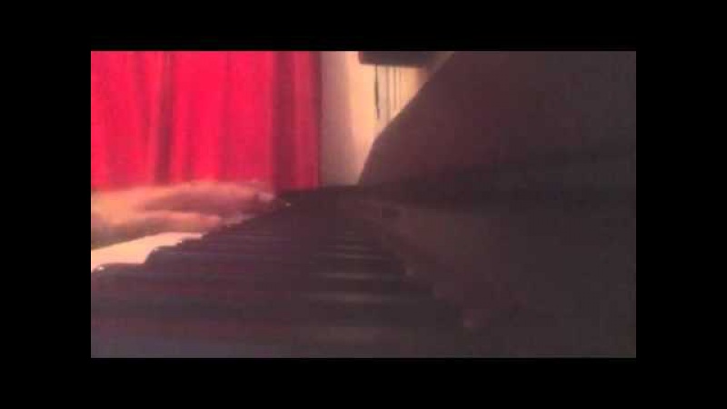 reflet отражение хамзат беков reflet отражение хамзат беков