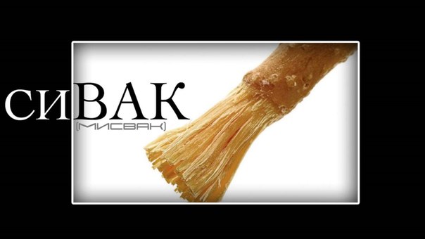 Уникальные свойства сивака (мисвака) 
