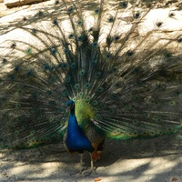 Екатерина Тиунова | Тюмень