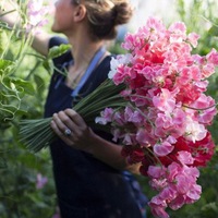 Ксения Бокова