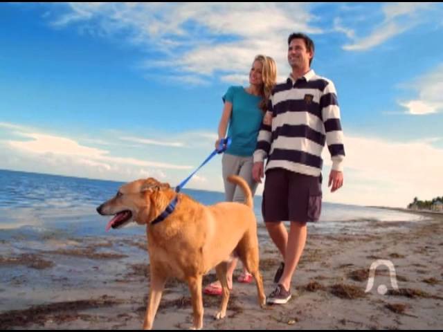 Bealls Commercial 2012