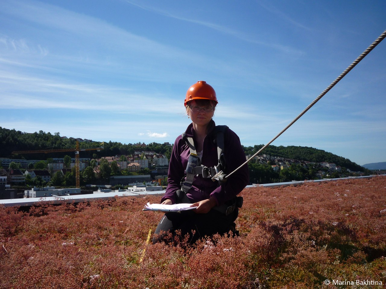 18 Green roof in Oslo / Kværnerbyen