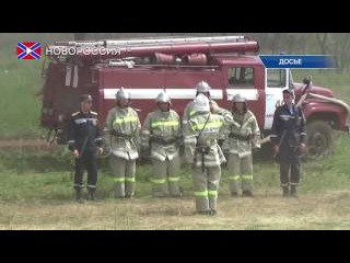 Лесничества ДНР временно ограничили доступ к лесам