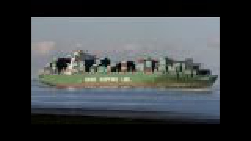 CSCL ZEEBRUGGE.mpg