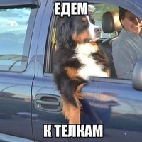 Приколы