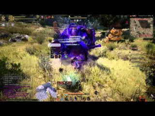 black desert P2P (первый и последний выход на Ташиа)
