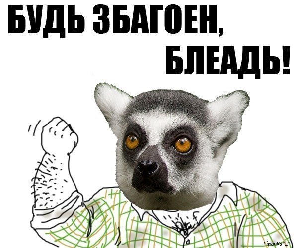 Мем узбагойся картинки