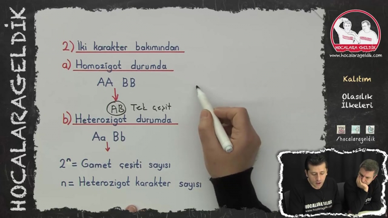 Kalıtım - Olasılık İlkeleri