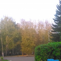 Катя Поделкина