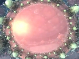 Fractal 3d