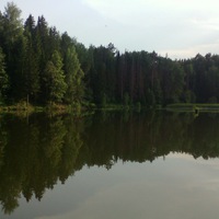 Ярослав Евдокимов