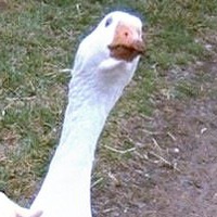 Влад Михайлюк